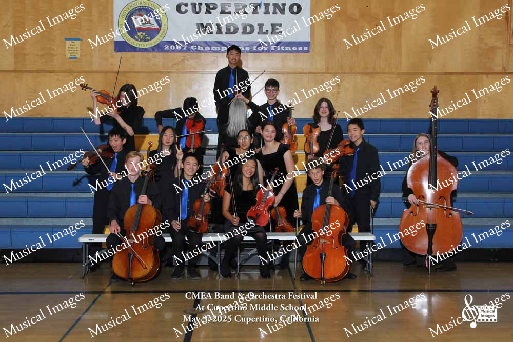 Musical Images